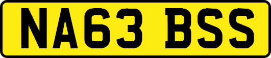 NA63BSS