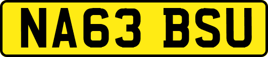 NA63BSU