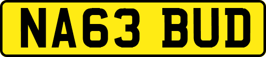 NA63BUD