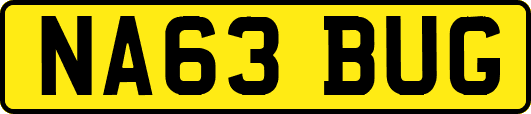 NA63BUG