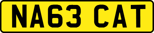 NA63CAT