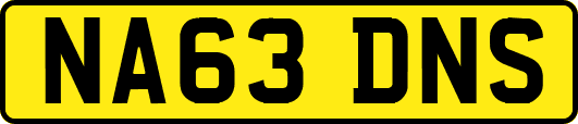NA63DNS