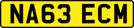 NA63ECM