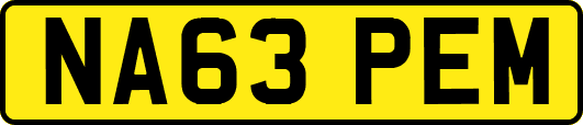 NA63PEM