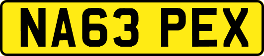 NA63PEX