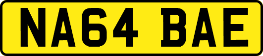NA64BAE