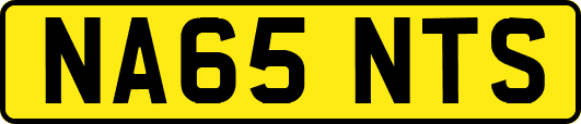NA65NTS