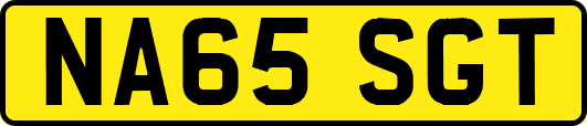 NA65SGT
