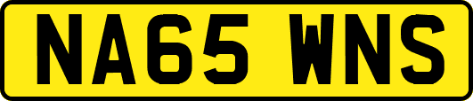 NA65WNS
