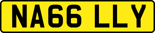 NA66LLY