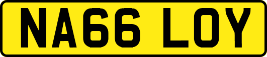 NA66LOY