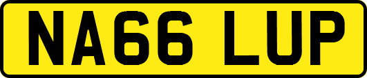 NA66LUP