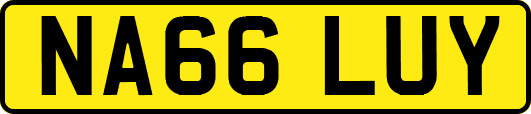 NA66LUY
