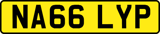 NA66LYP