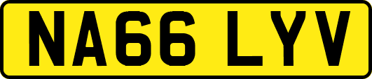 NA66LYV