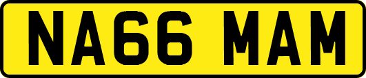 NA66MAM