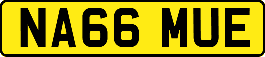 NA66MUE