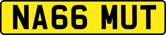 NA66MUT