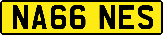 NA66NES
