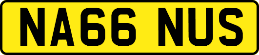 NA66NUS