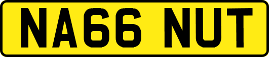 NA66NUT