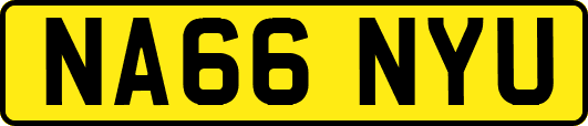 NA66NYU