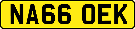 NA66OEK