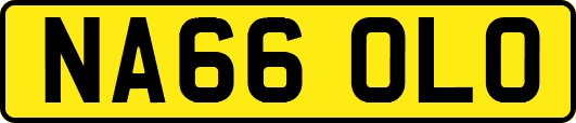 NA66OLO