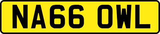 NA66OWL