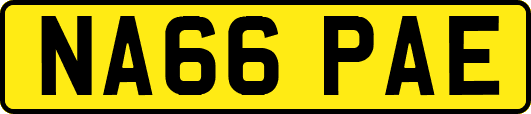 NA66PAE