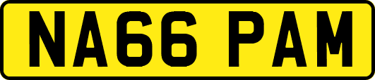 NA66PAM