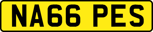 NA66PES