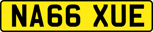 NA66XUE