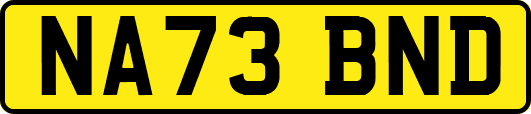 NA73BND