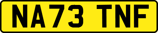 NA73TNF