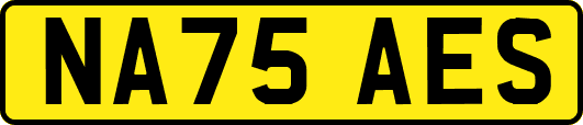 NA75AES