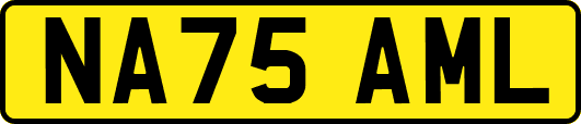 NA75AML