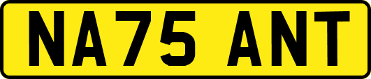 NA75ANT