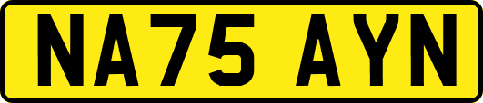 NA75AYN