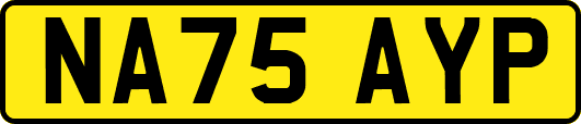 NA75AYP