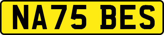 NA75BES
