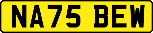 NA75BEW