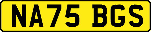 NA75BGS