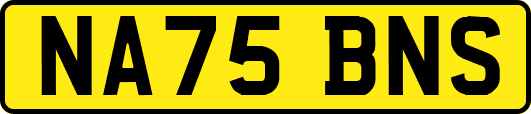 NA75BNS