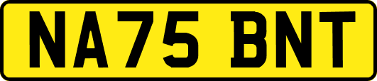 NA75BNT