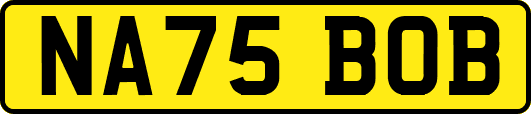 NA75BOB
