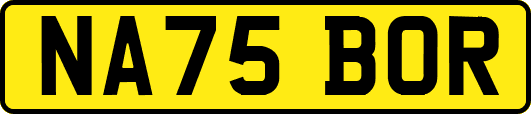 NA75BOR