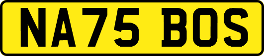NA75BOS