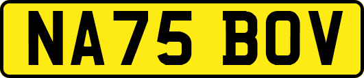 NA75BOV
