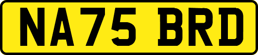 NA75BRD